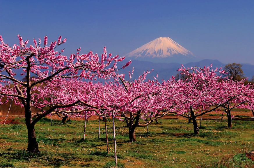 Mount Fuji and 3 Other Mountains You Need to Visit in Japan